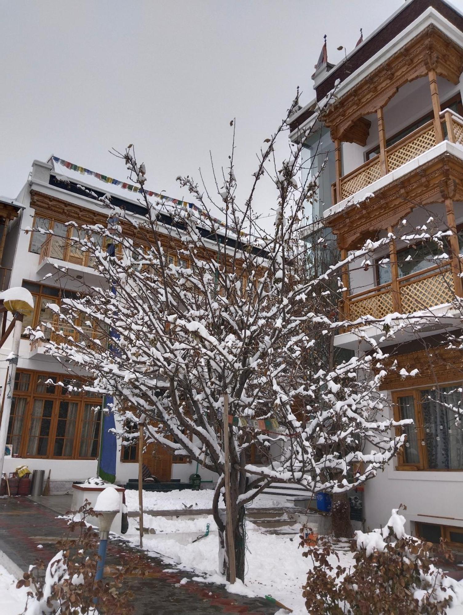 Hotel Jigmet, Leh Dış mekan fotoğraf